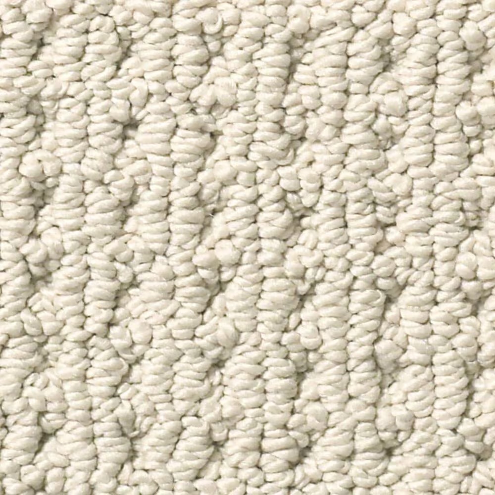 Anderson Tuftex San Lucas Carpet in Fleece