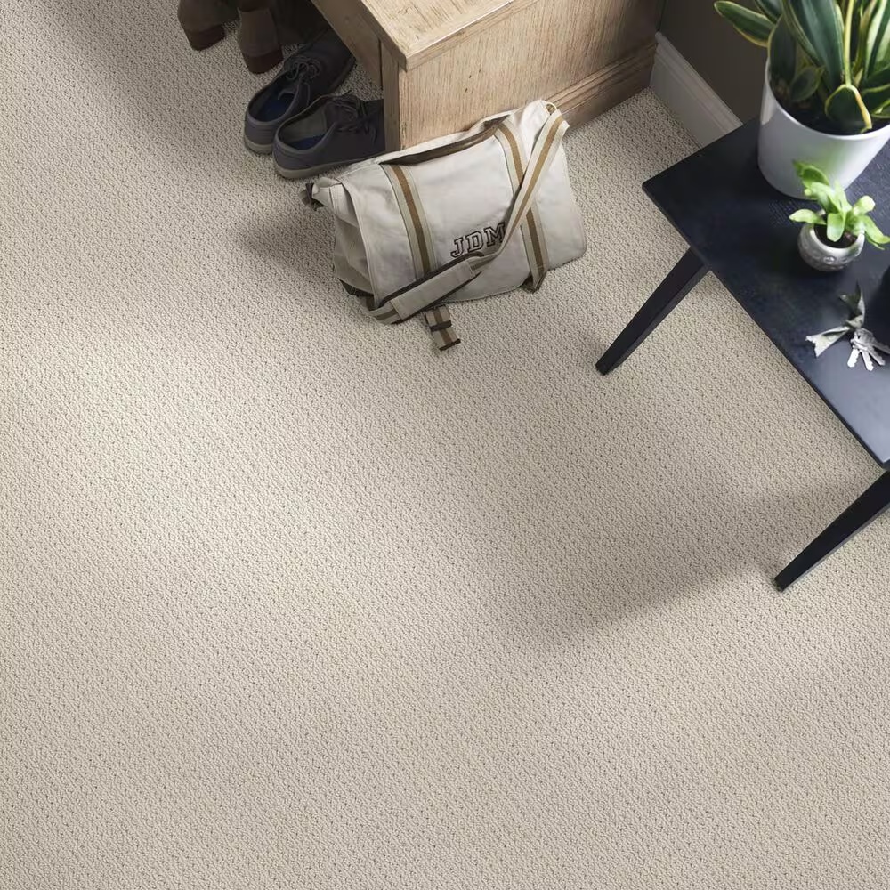 48504-anderson-tuftex-san-lucas-carpet-in-plymouth-1.jpg