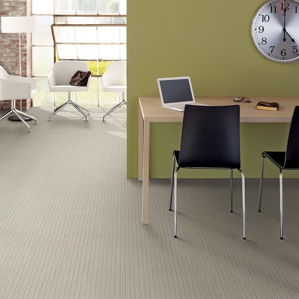 48504-anderson-tuftex-san-lucas-carpet-in-plymouth-1.jpg