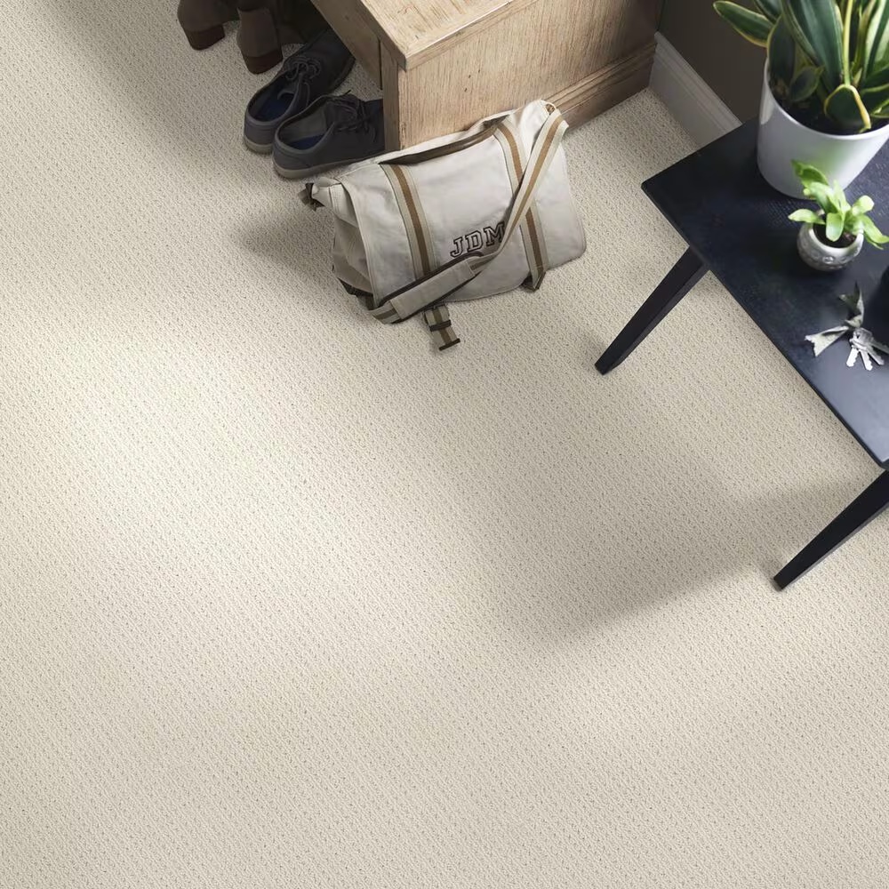 48505-anderson-tuftex-san-lucas-carpet-in-aged-white-1.jpg