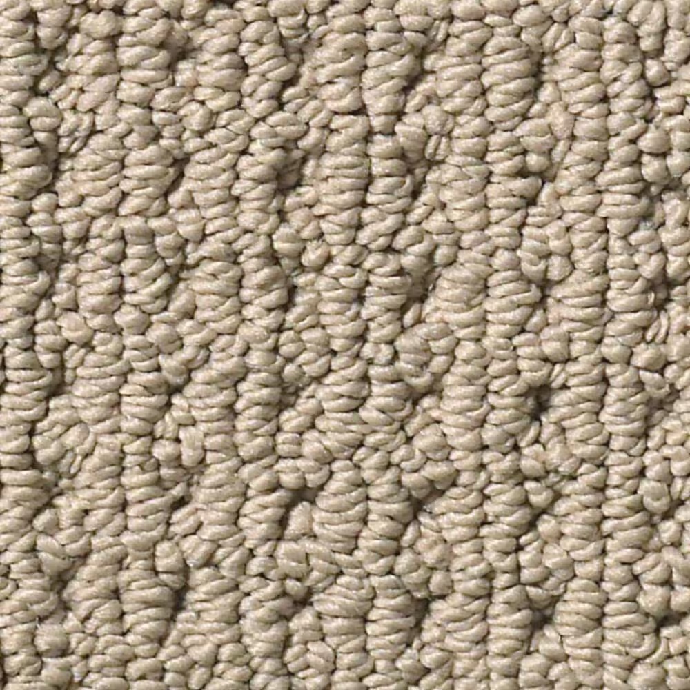 Anderson Tuftex San Lucas Carpet in Latte