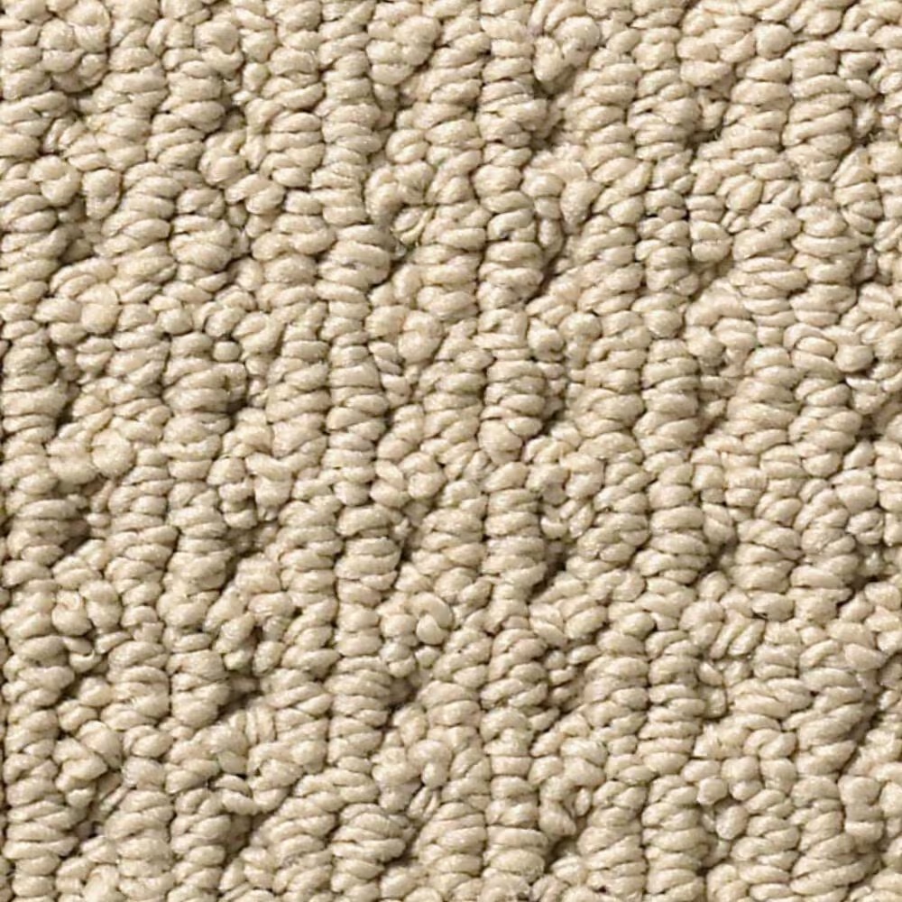 Anderson Tuftex San Lucas Carpet in Golden