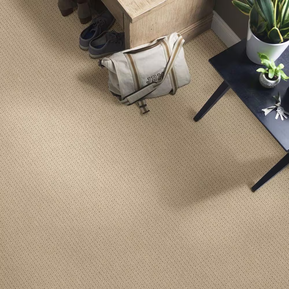 48507-anderson-tuftex-san-lucas-carpet-in-golden-1.jpg