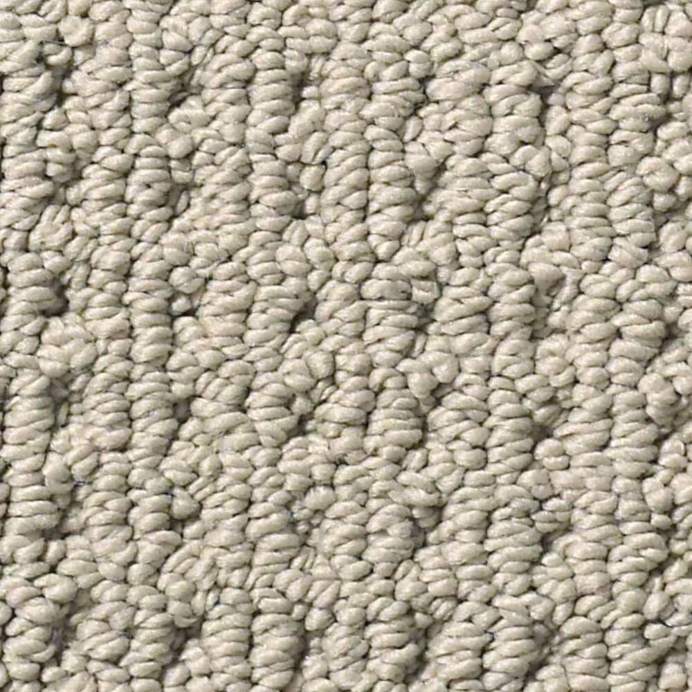 Anderson Tuftex San Lucas Carpet in Pavestone