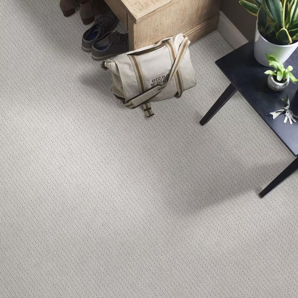 48510-anderson-tuftex-san-lucas-carpet-in-silverplate-1.jpg