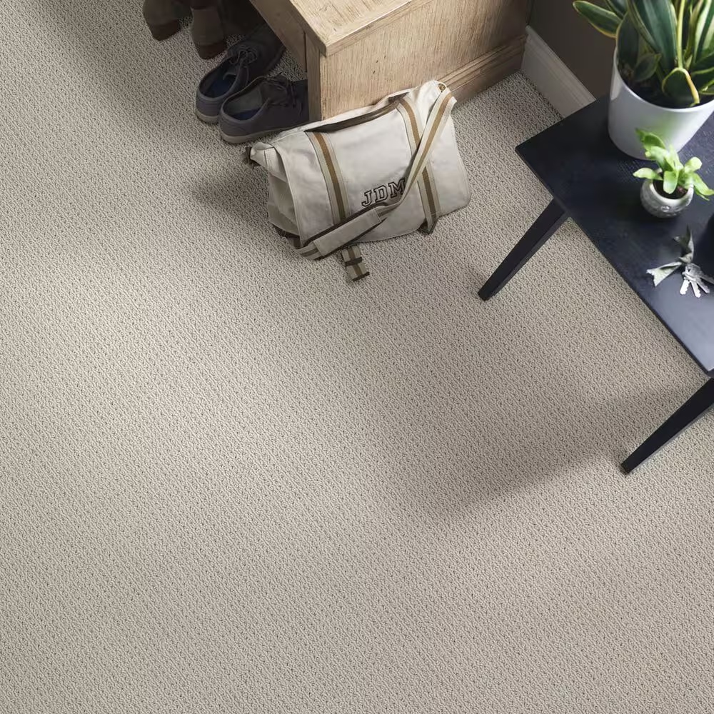 48511-anderson-tuftex-san-lucas-carpet-in-huskie-1.jpg