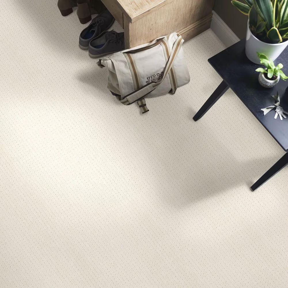 48512-anderson-tuftex-san-lucas-carpet-in-sparkling-1.jpg