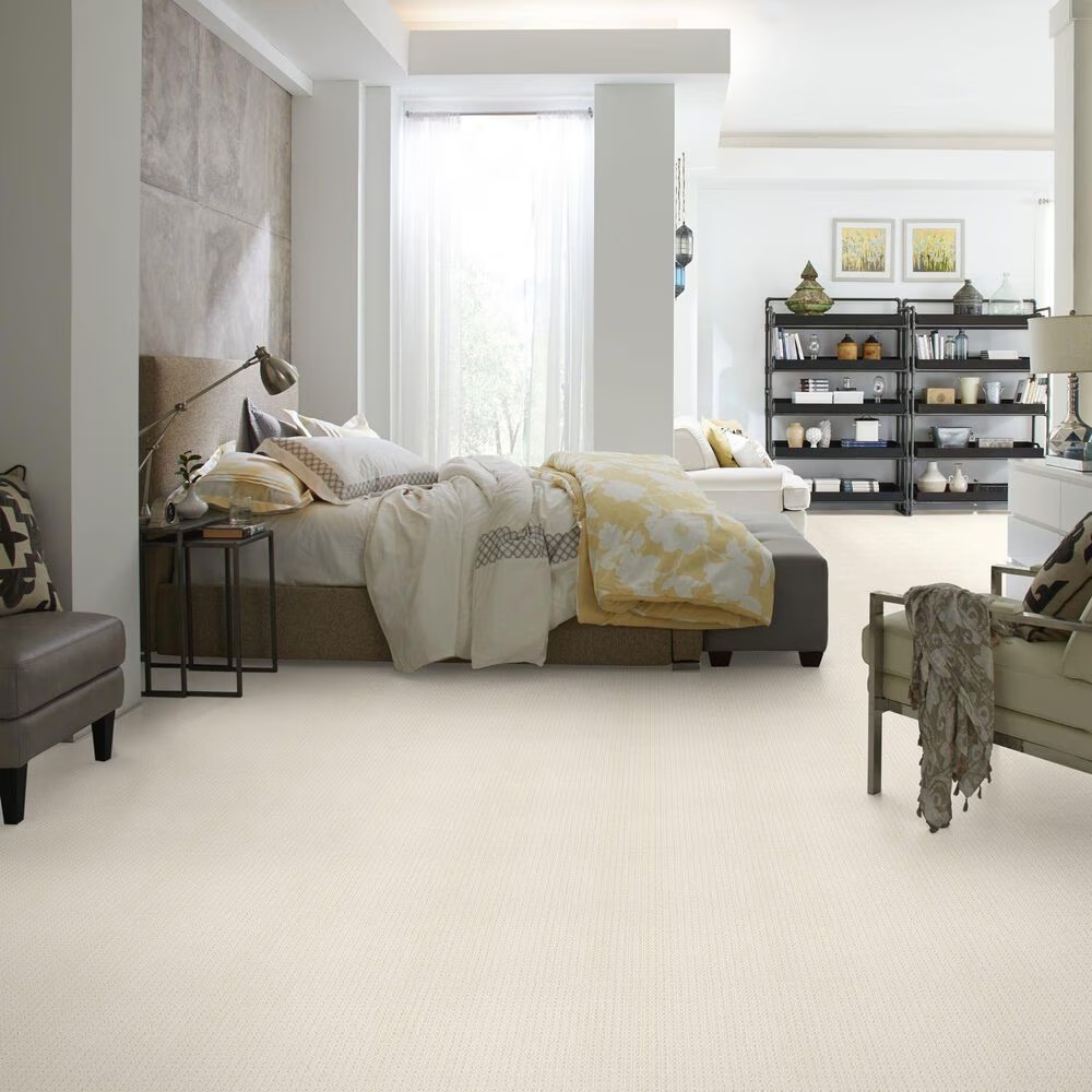 48512-anderson-tuftex-san-lucas-carpet-in-sparkling-1.jpg