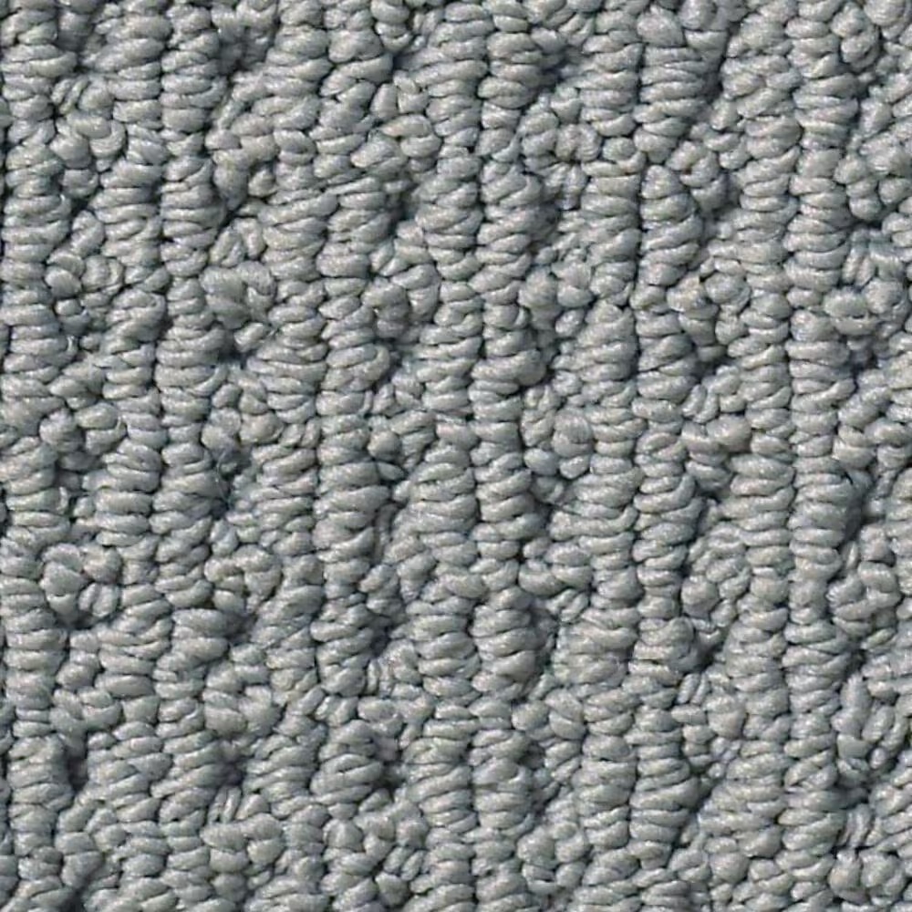 Anderson Tuftex San Lucas Carpet in Tin