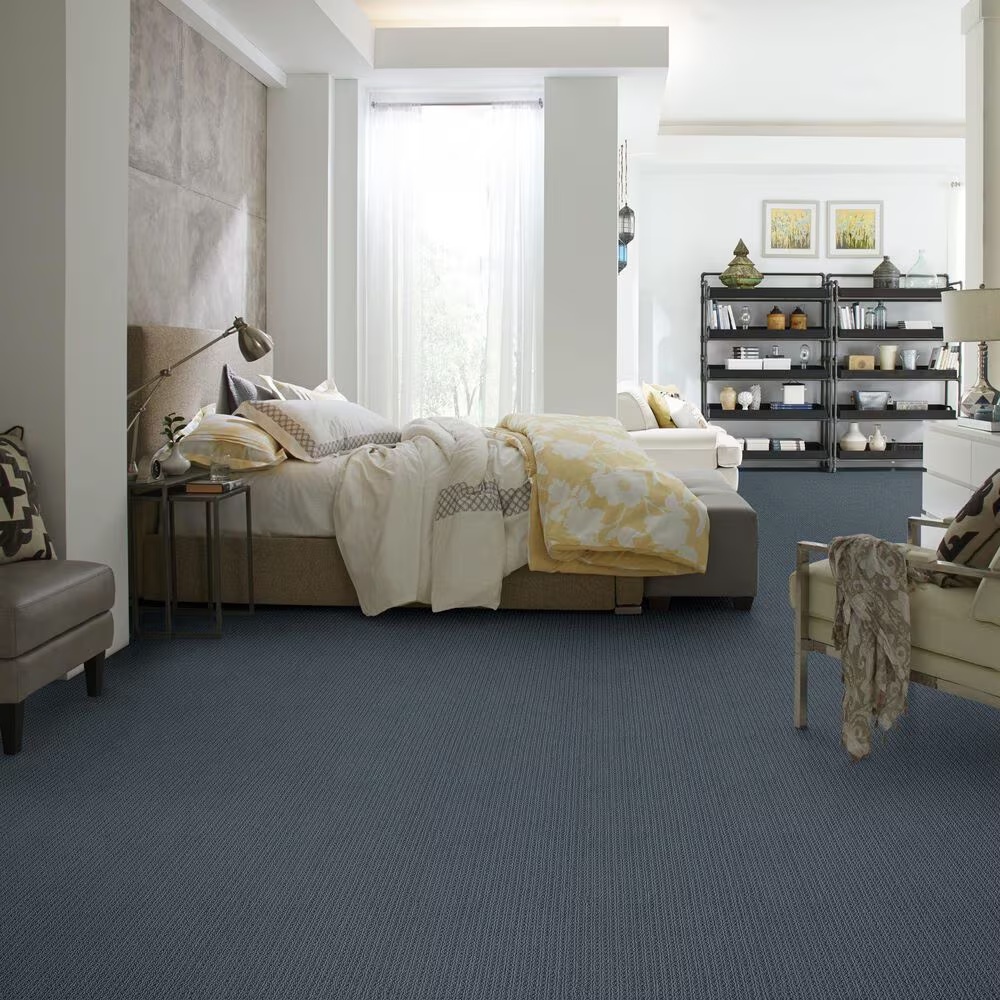 48521-anderson-tuftex-san-lucas-carpet-in-blustery-sky-1.jpg