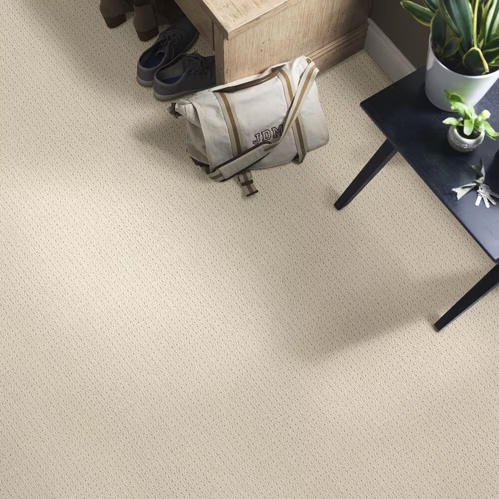 48522-anderson-tuftex-san-lucas-carpet-in-biscuit-1.jpg