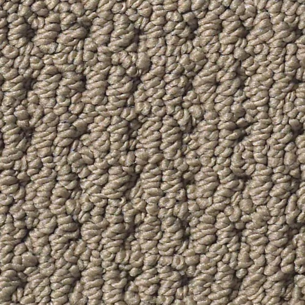 Anderson Tuftex San Lucas Carpet in Homestead