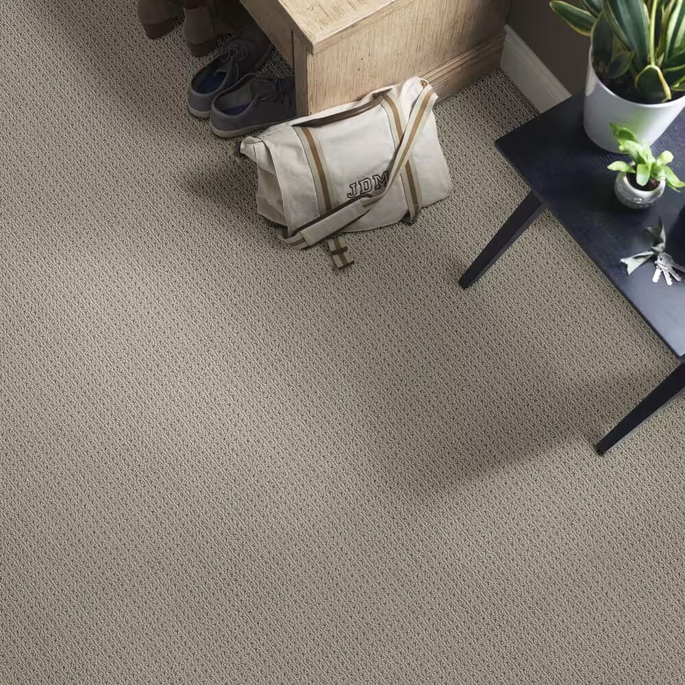 48525-anderson-tuftex-san-lucas-carpet-in-pewter-1.jpg