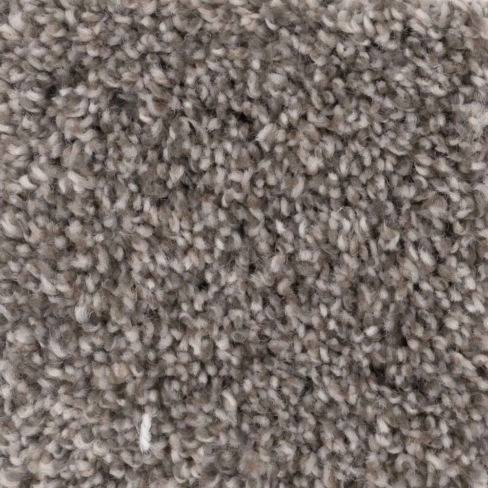 Shaw Bellera Calm Simplicity II Carpet in Desert View