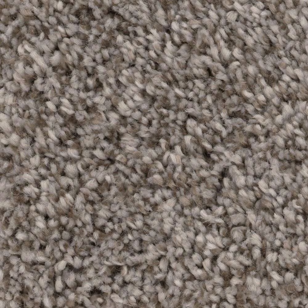 Shaw Bellera Calm Serenity I Carpet in Desert View