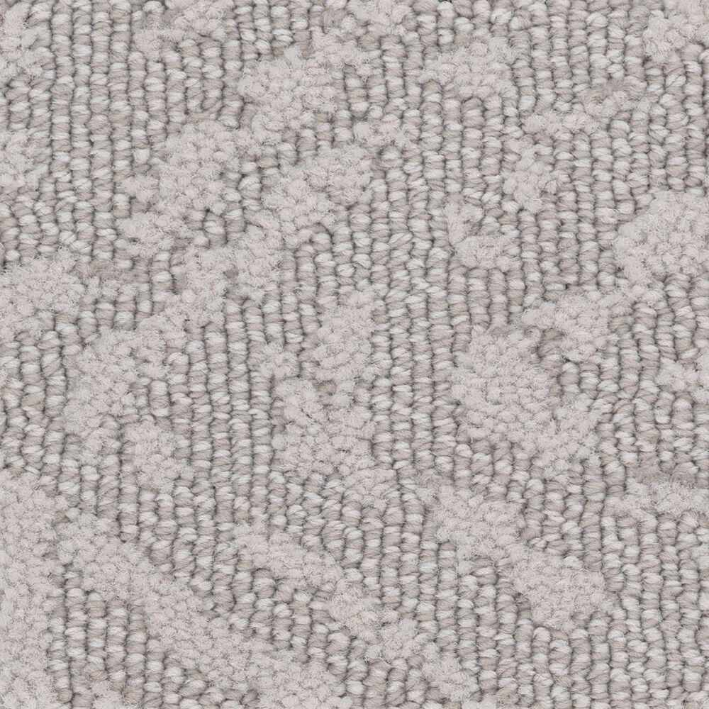 Anderson Tuftex Vintage Revival Carpet in Cold Winter