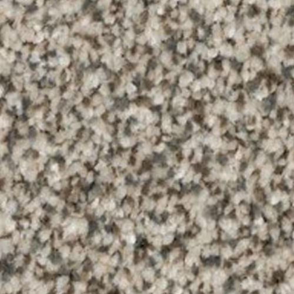 Mohawk Sand in Your Toes Carpet in Quiet Neutral