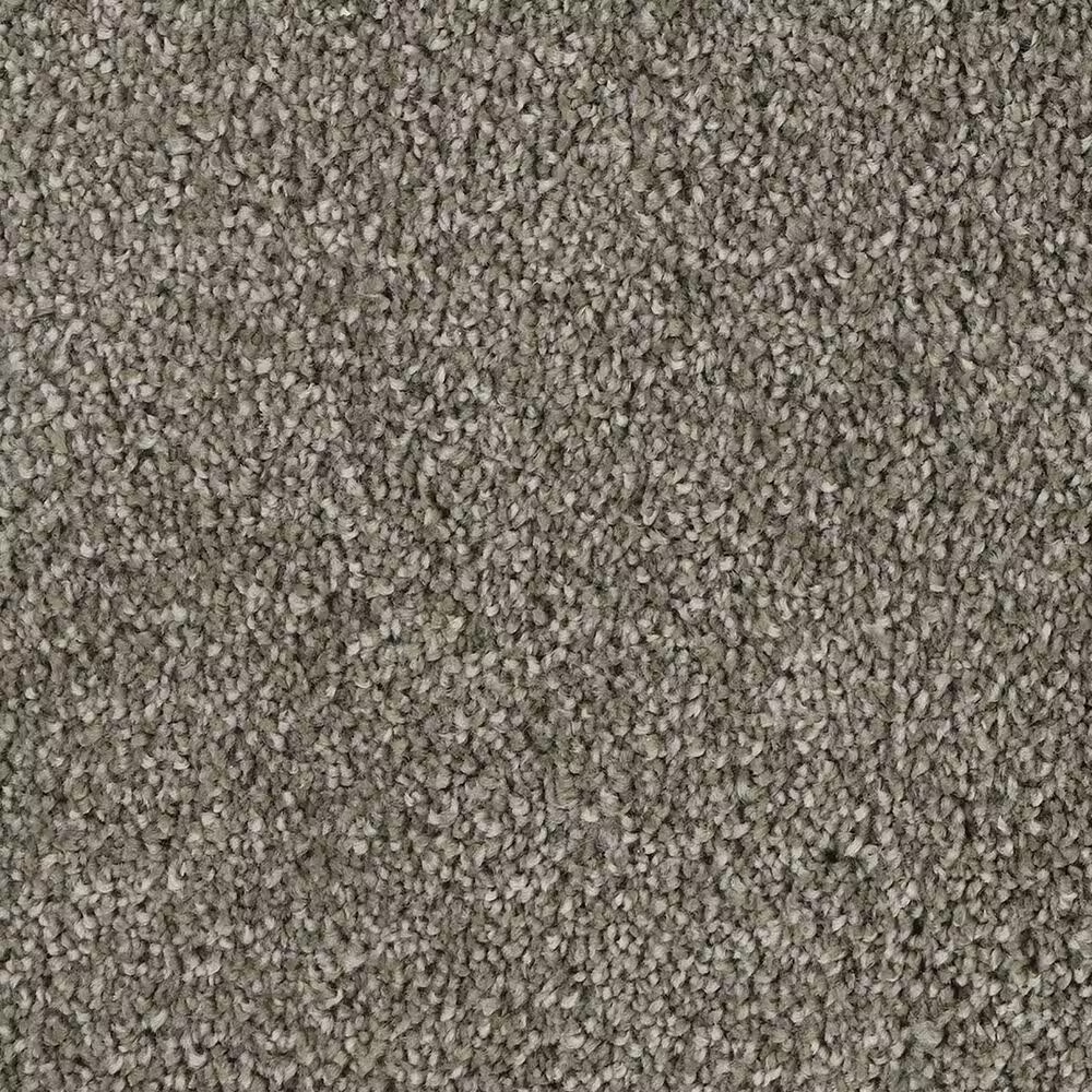 Mohawk Delicate Tones II Carpet in Rocky Bluff