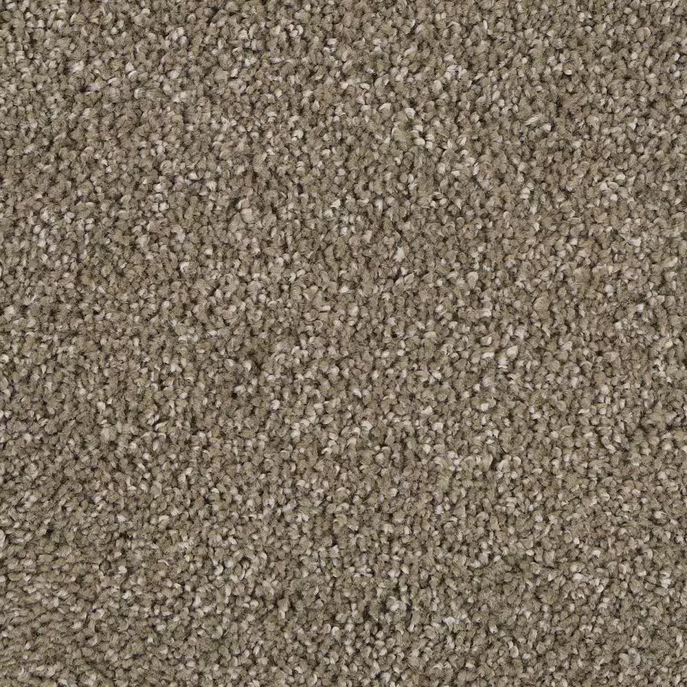 Mohawk Delicate Tones II Carpet in Mission
