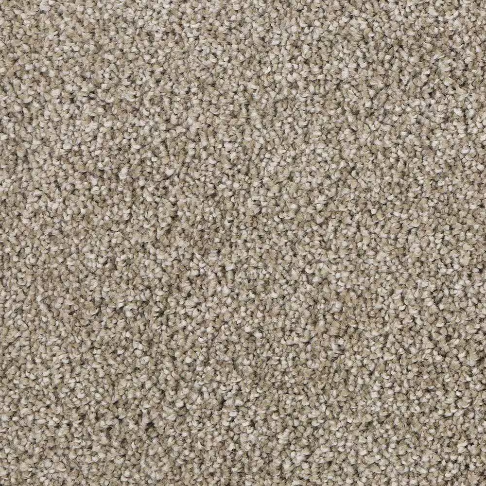 Mohawk Delicate Tones II Carpet in Balsam Beige