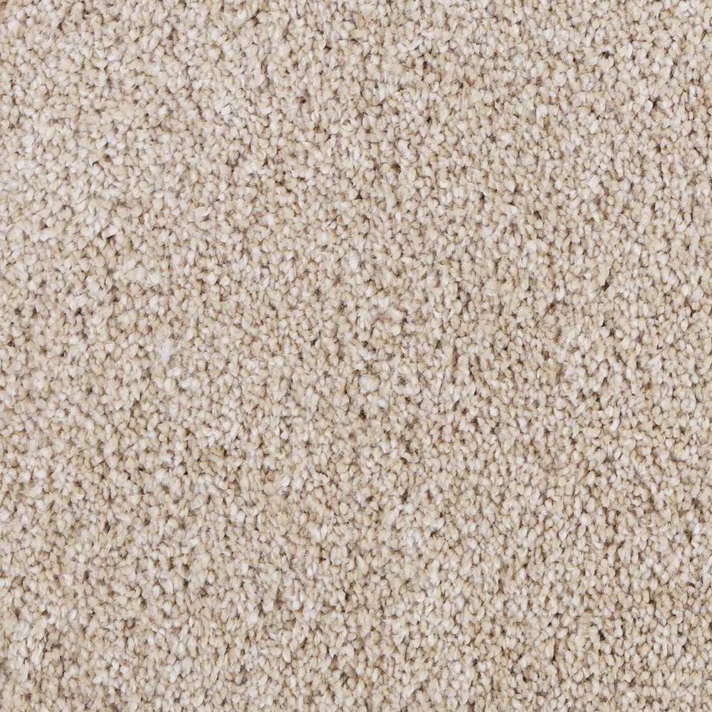 Mohawk Delicate Tones II Carpet in Harmonious