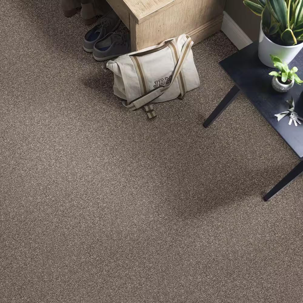 48931-shaw-shake-it-up-carpet-in-mountain-top-1.jpg