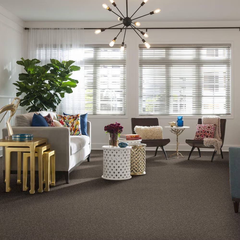 48931-shaw-shake-it-up-carpet-in-mountain-top-1.jpg
