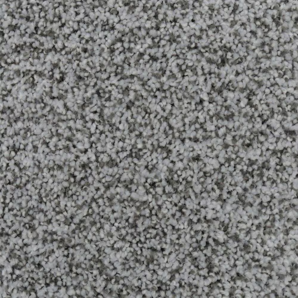 Karastan Fascinating Glamour Carpet in Alpine