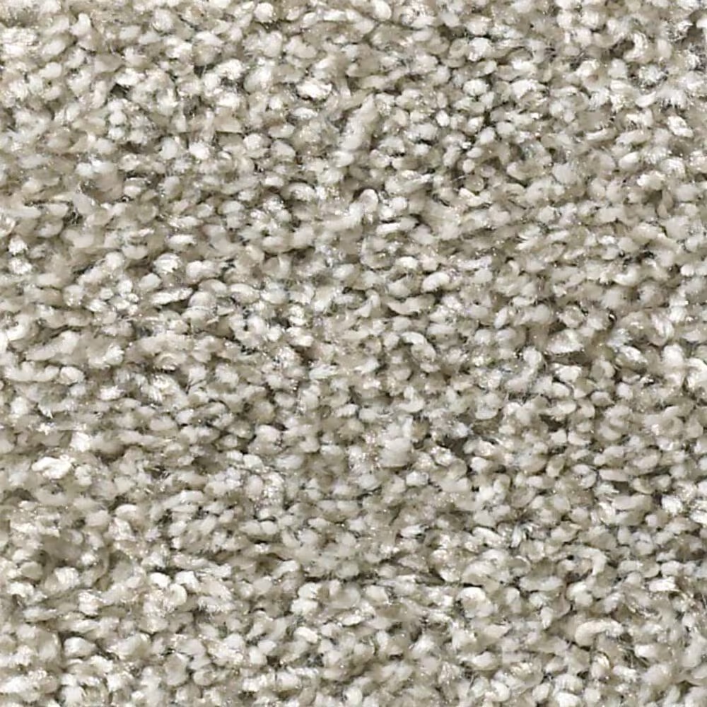 Shaw Shake It Up Carpet in Ornamental Gate