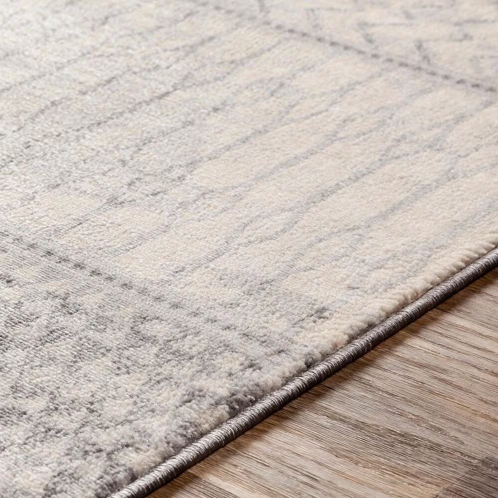 51165-surya-monaco-moc-2306-6-9-x-9-9-silver-gray-and-cream-area-rug-1.jpg