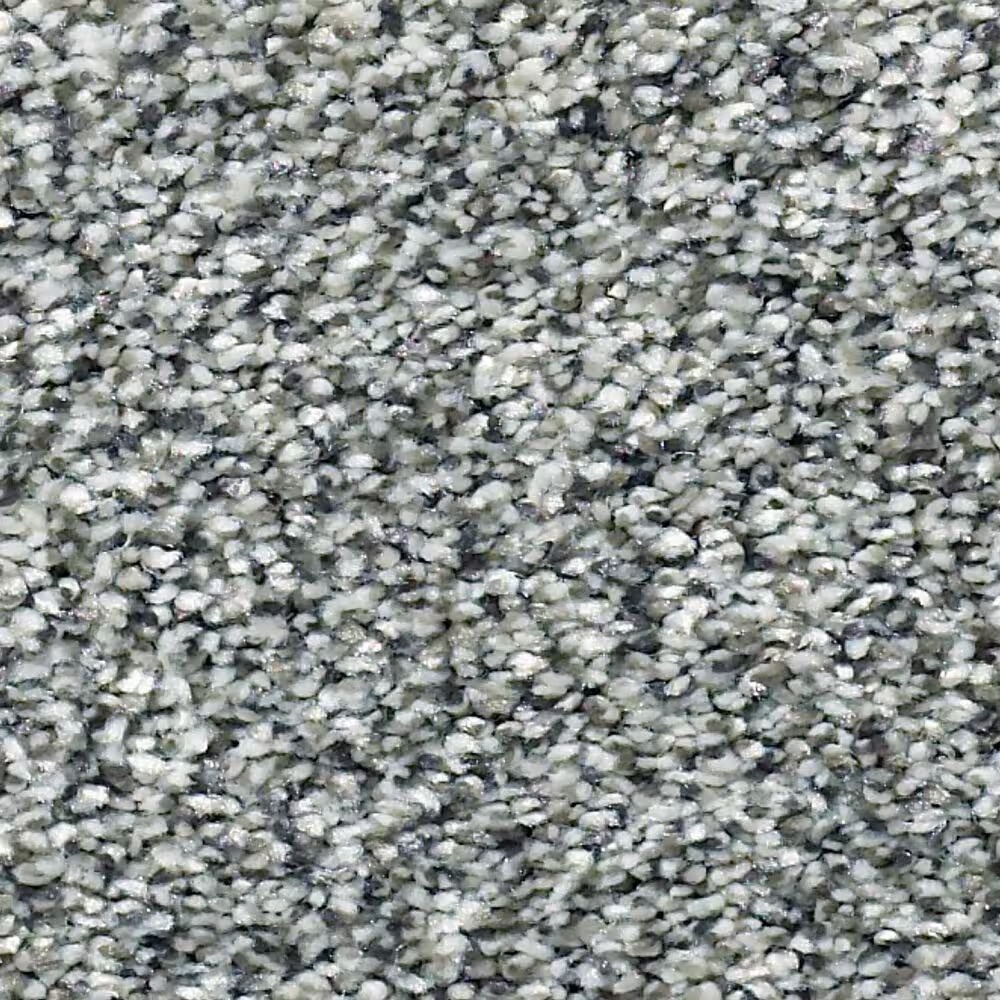 Shaw Within Reach III Carpet in Grey Fox