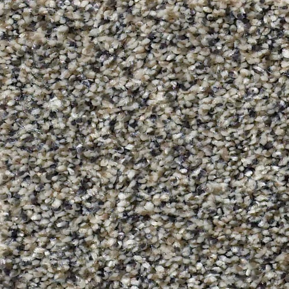 Shaw Within Reach III Carpet in Kidskin