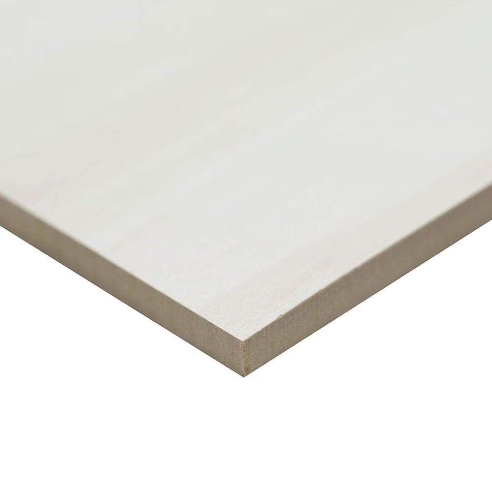 52528-ms-international-eden-dolomite-12-x-24-matte-porcelain-tile-1.jpg