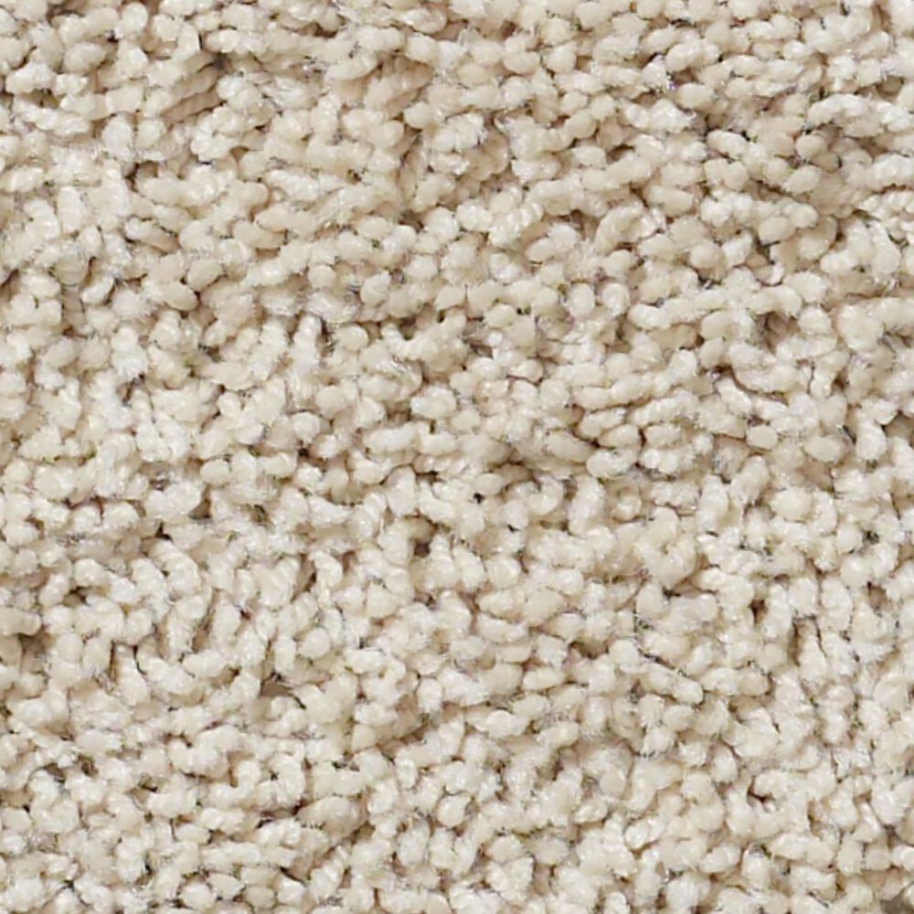 52916-philadelphia-del-morro-carpet-in-chic-cream-1.jpg