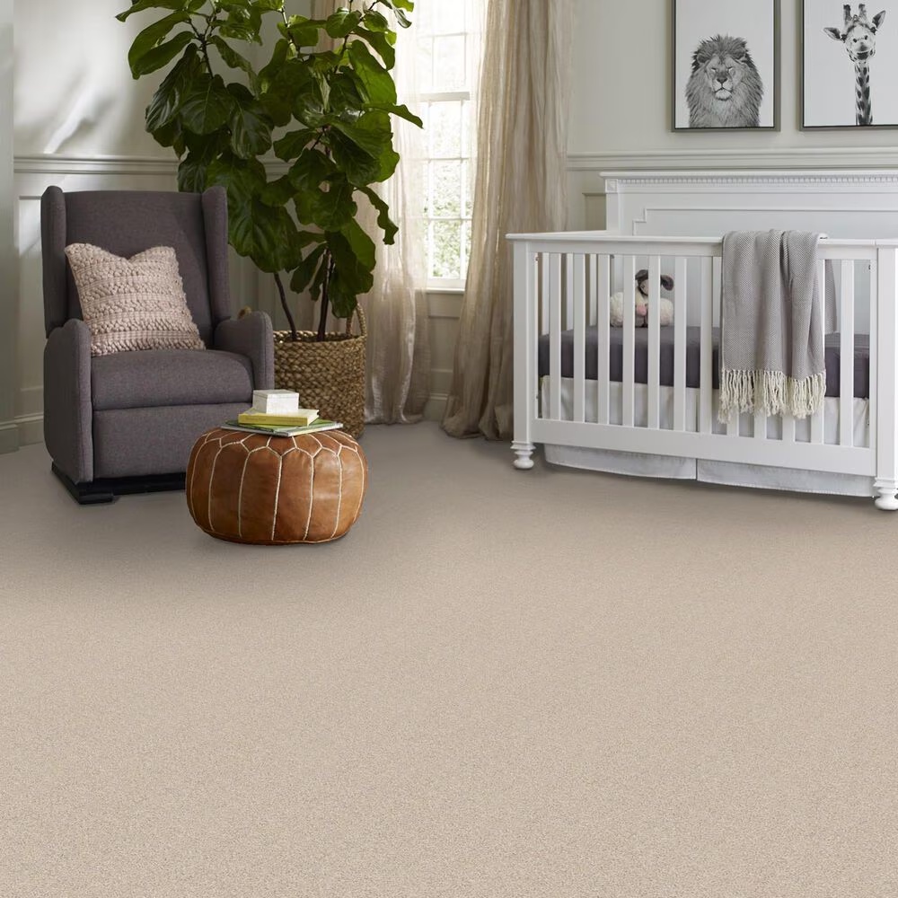 52916-philadelphia-del-morro-carpet-in-chic-cream-1.jpg