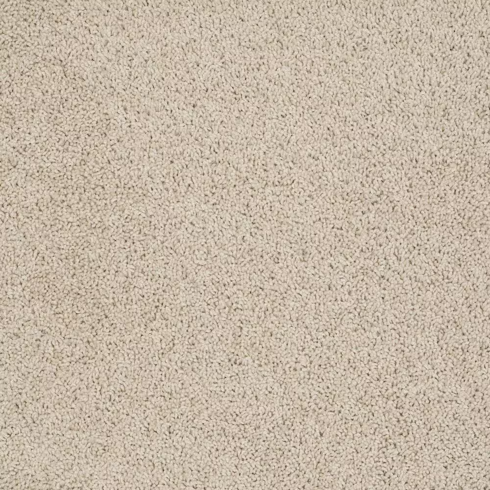52916-philadelphia-del-morro-carpet-in-chic-cream-1.jpg