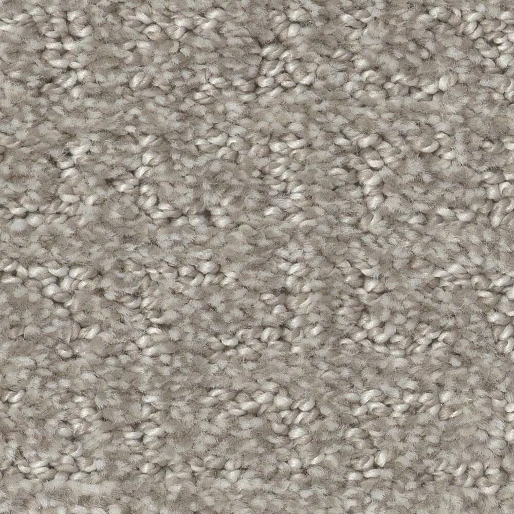 Shaw Simply the Best Transform Carpet in Fossil