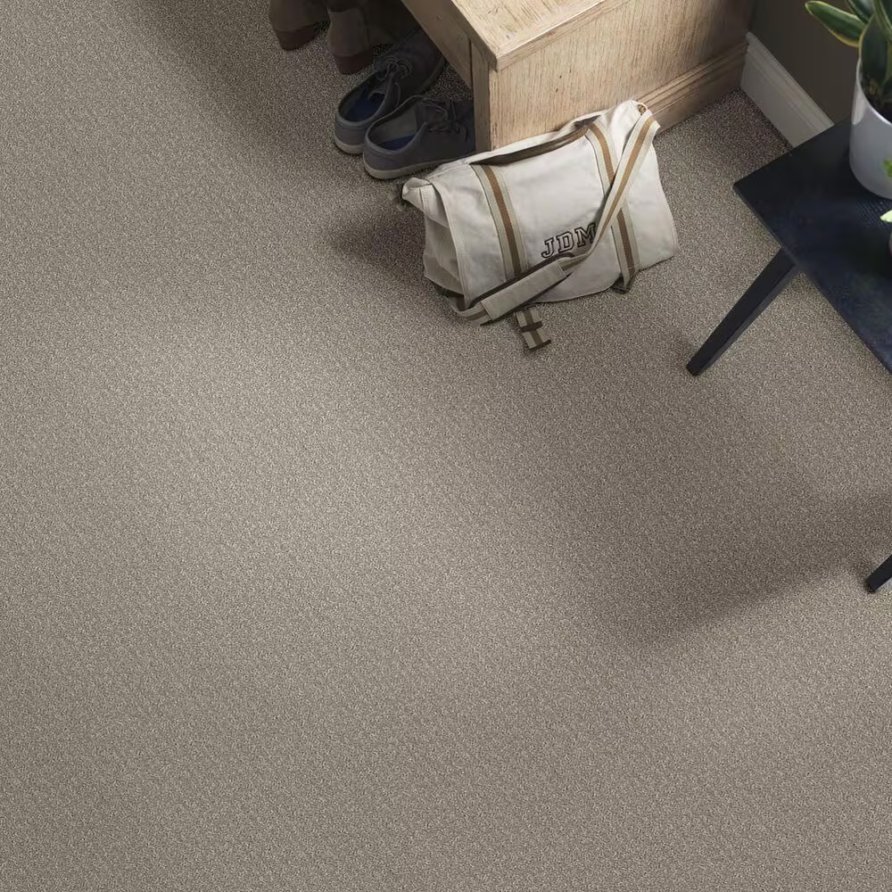 54377-shaw-simply-the-best-transform-carpet-in-fossil-1.jpg