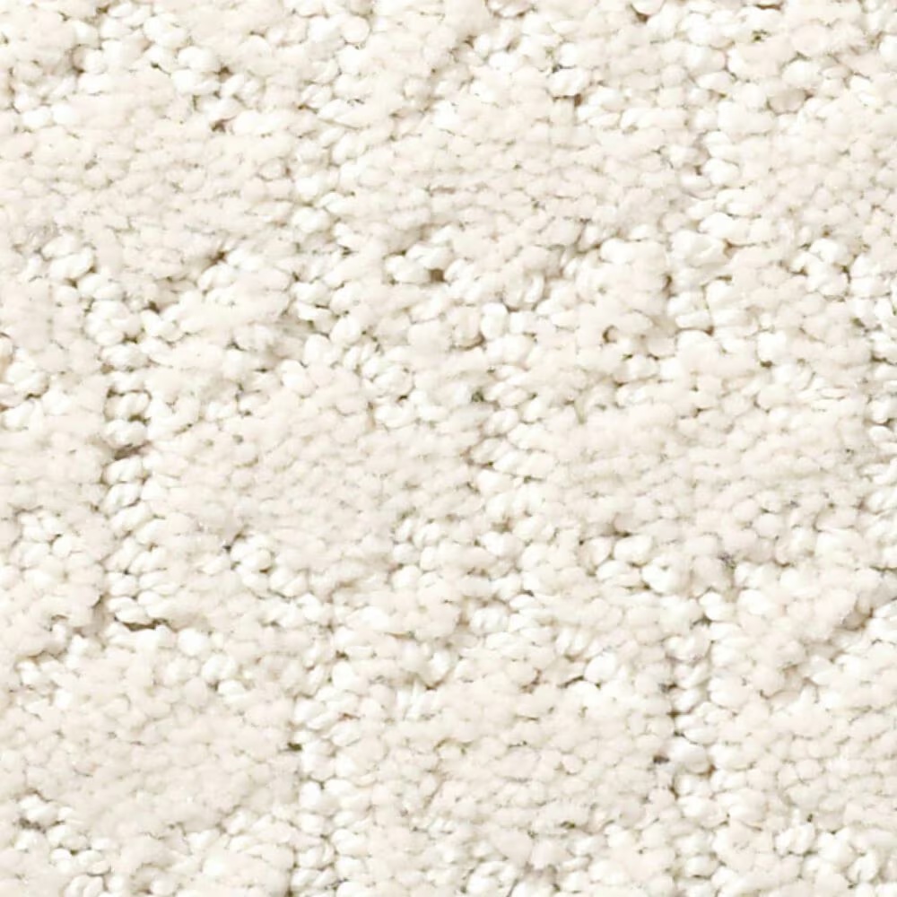 Shaw Simply the Best Valid Carpet in Pearl