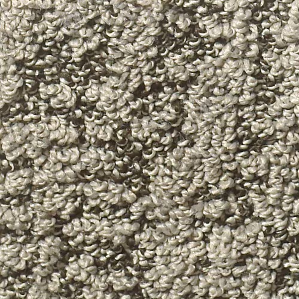 Shaw Bellera Obvious Choice Carpet in Dreamy Taupe
