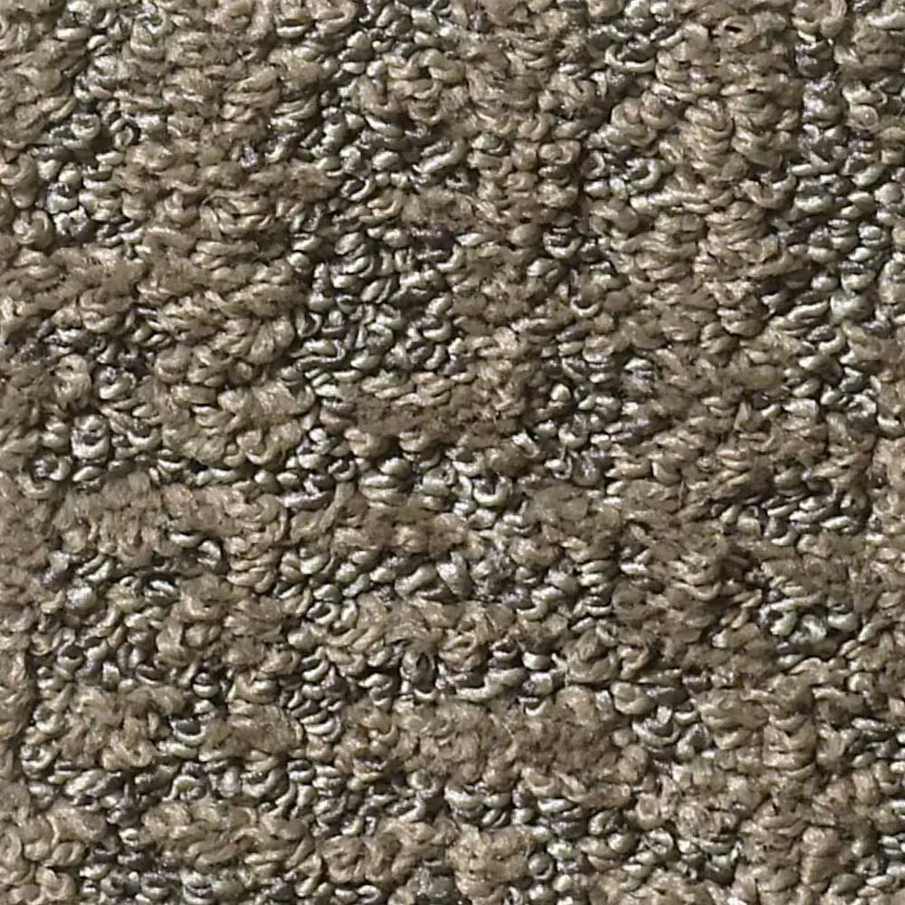 Shaw Bellera Obvious Choice Carpet in Mahogany