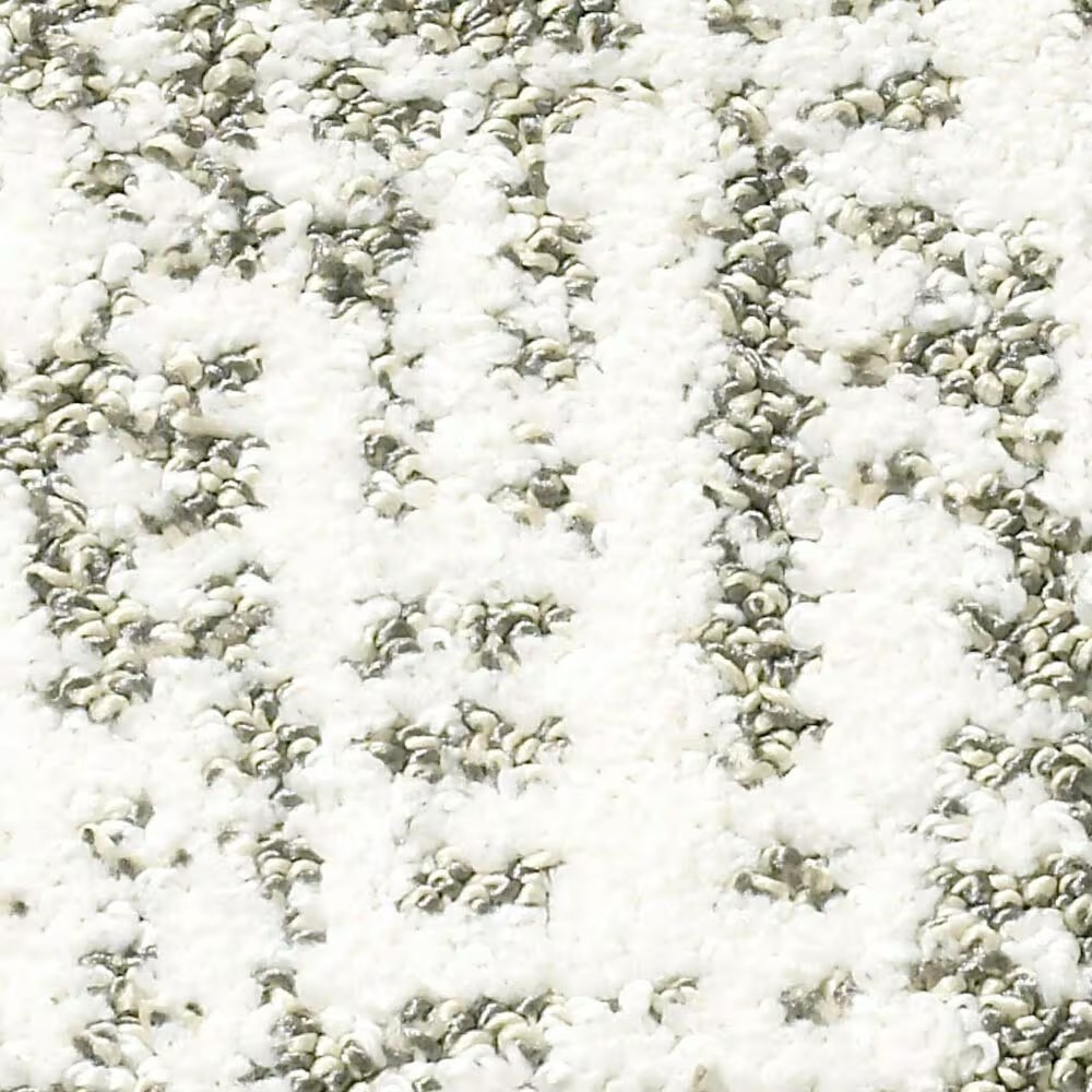 Shaw Bellera Obvious Choice Carpet in Super Fine