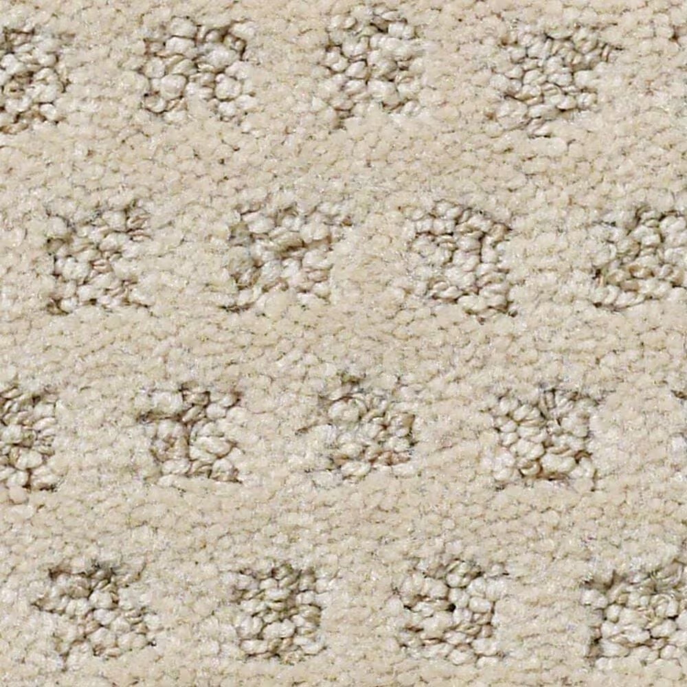 Anderson Tuftex Narrow Creek Carpet in Ridgeway Walk