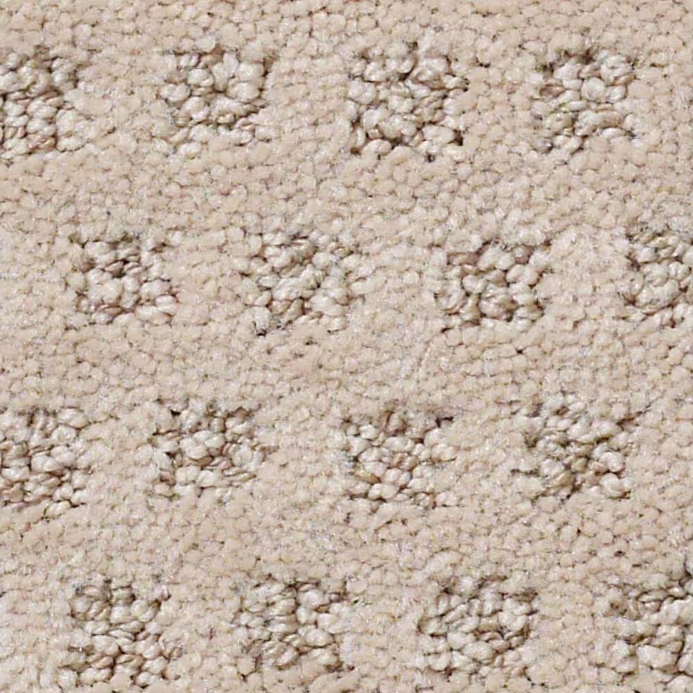 Anderson Tuftex Narrow Creek Carpet in Fawn