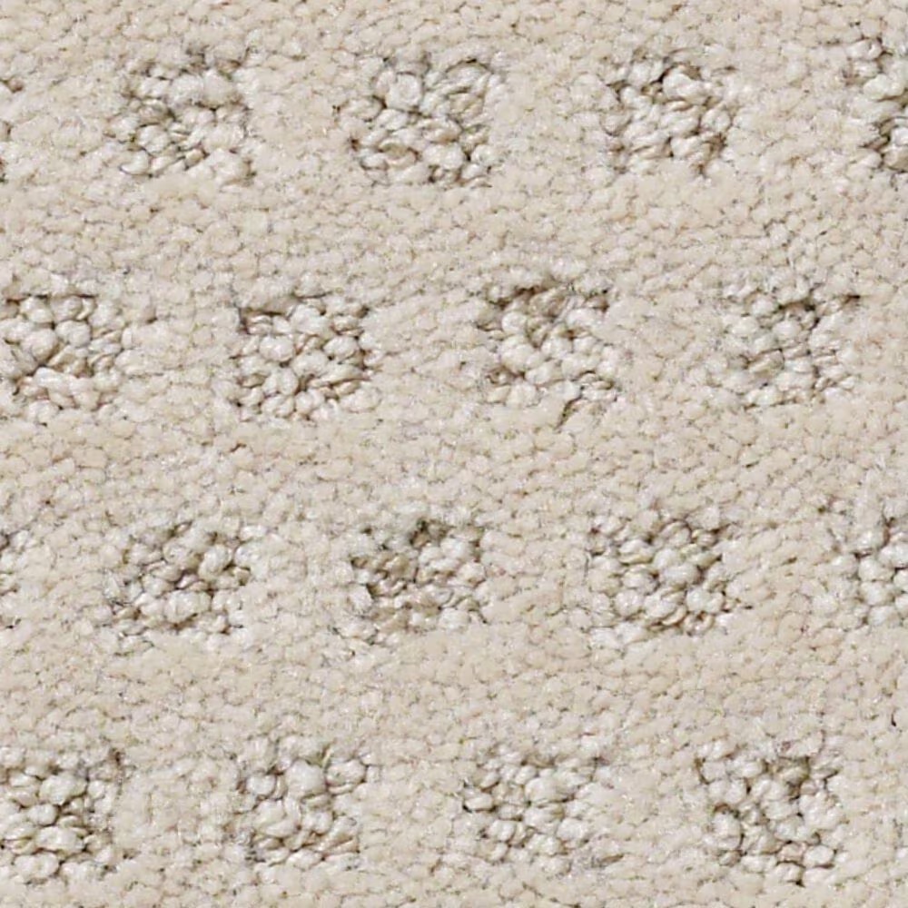 Anderson Tuftex Narrow Creek Carpet in Amarillo