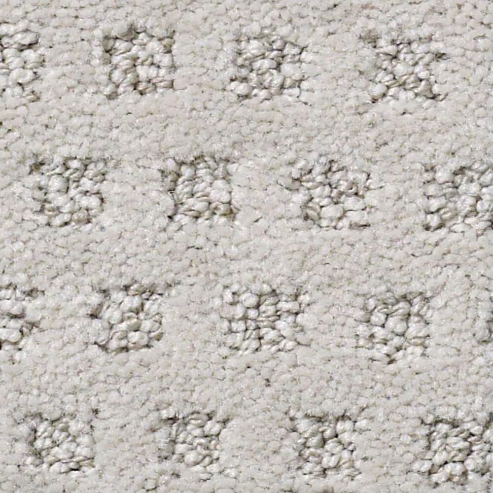 Anderson Tuftex Narrow Creek Carpet in Plainview