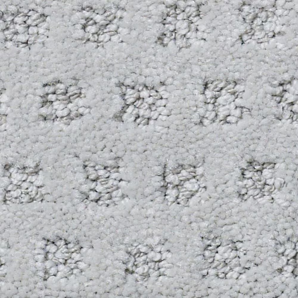 Anderson Tuftex Narrow Creek Carpet in Crete