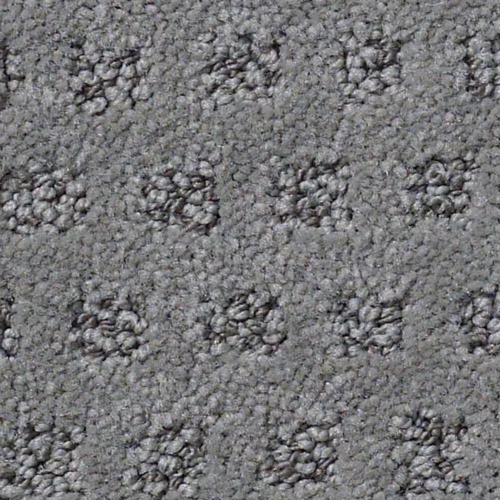 Anderson Tuftex Narrow Creek Carpet in Stirling