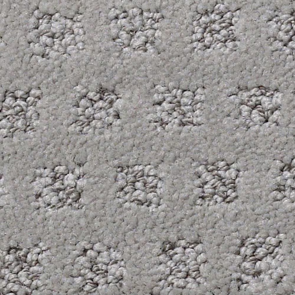 Anderson Tuftex Narrow Creek Carpet in Lady in Grey