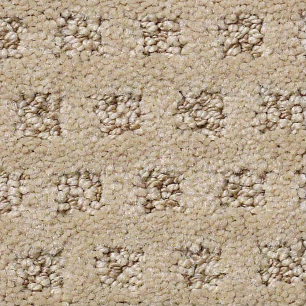 Anderson Tuftex Narrow Creek Carpet in Llama